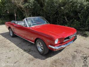 Bild 1/50 von Ford Mustang 289 (1966)