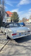Image 11/37 de Mercedes-Benz 250 SE (1966)