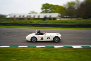 Image 11/50 of Austin-Healey 100&#x2F;6 (BN6) (1958)