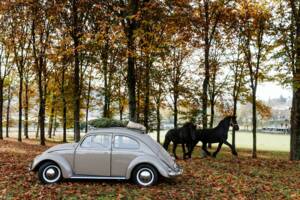 Immagine 21/56 di Volkswagen Maggiolino 1100 Standard "Ovali" (1954)