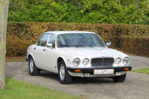 Bild 55/68 von Jaguar XJ 6 4.2 (1985)