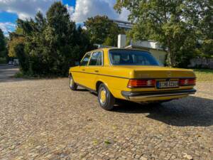 Image 13/139 of Mercedes-Benz 240 D (1978)