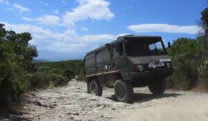 Image 58/68 of Steyr-Puch Pinzgauer 710 K (1973)