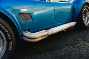 Image 29/68 of Shelby Cobra 289 (1966)