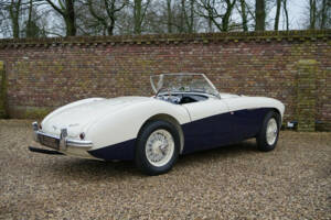 Bild 22/50 von Austin-Healey 100&#x2F;4 (BN1) (1955)