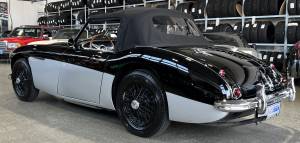 Bild 8/29 von Austin-Healey 3000 Mk I (BN7) (1959)