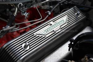Image 34/40 of Ford Thunderbird (1955)