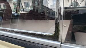 Immagine 13/19 di Volkswagen T3 Westfalia 2.0 (1980)