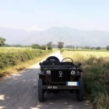 Bild 1/6 von Willys-Overland MB (1943)