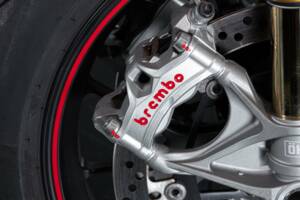 Bild 50/50 von Ducati DUMMY (2018)
