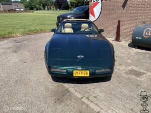 Immagine 23/29 di Chevrolet Corvette (1992)