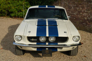 Bild 14/50 von Ford Shelby GT 500 (1967)