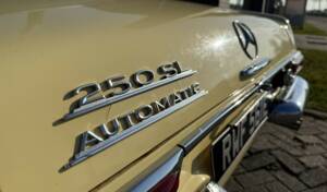 Image 9/31 de Mercedes-Benz 250 SL (1967)