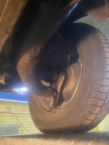 Bild 51/55 von Citroën Acadiane (1983)