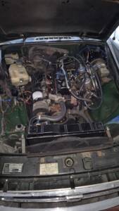 Bild 7/8 von MG MGB (1979)