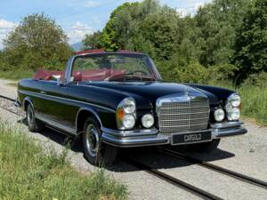Bild 40/73 von Mercedes-Benz 280 SE 3,5 (1970)