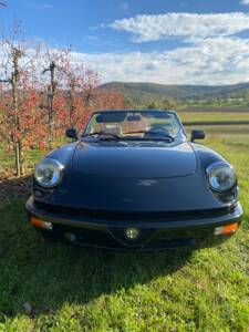 Bild 3/22 von Alfa Romeo 2.0 Spider (1993)
