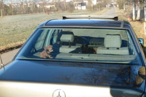 Image 6/92 de Mercedes-Benz 200 D (1989)