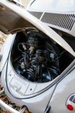 Immagine 16/56 di Volkswagen Maggiolino 1100 Standard "Ovali" (1954)