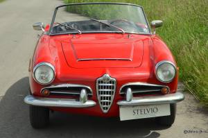 Bild 12/21 von Alfa Romeo Giulia 1600 Spider (1964)