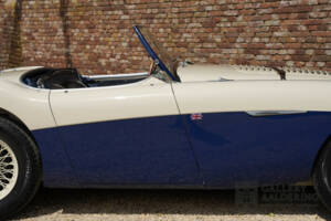 Bild 32/50 von Austin-Healey 100&#x2F;4 (BN1) (1954)