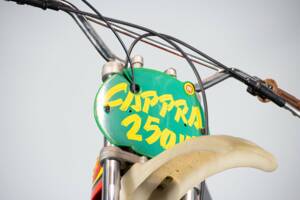 Bild 49/49 von Montesa Cappra 250 VB (1975)