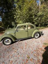 Bild 12/23 von Volkswagen Escarabajo 1200 (1960)