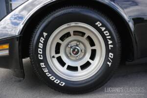 Image 16/58 de Chevrolet Corvette Sting Ray (1979)