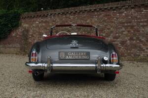 Image 39/50 of Mercedes-Benz 190 SL (1959)
