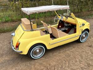 Bild 65/80 von FIAT Ghia 500 Jolly (1972)
