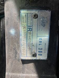 Immagine 15/32 di ISO Rivolta 300 (1966)