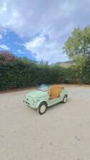 Image 12/80 of FIAT Ghia 500 Jolly (1970)