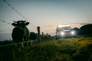 Bild 3/42 von Land Rover Defender Works V8 Trophy (2012)