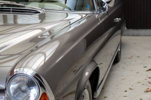 Bild 16/50 von Mercedes-Benz 280 SE 3,5 (1971)