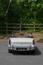 Imagen 14/50 de Daimler SP 250 (1960)