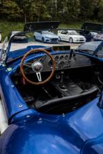 Bild 9/11 von Unique Motorcars 289 FIA Cobra Replica (1989)