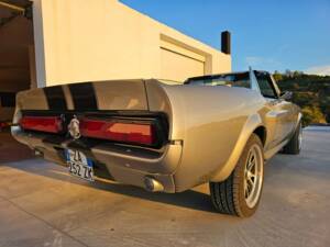 Bild 8/30 von Ford Shelby GT 500 (1967)