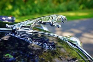 Image 28/46 of Jaguar Mk II 3.8 (1962)