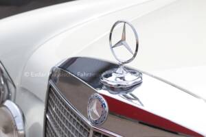Image 8/35 de Mercedes-Benz 300 SEL 3.5 (1971)