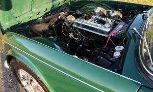 Immagine 36/50 di Triumph TR 4 (1965)