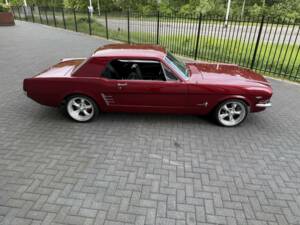 Bild 4/47 von Ford Shelby GT 350 (1966)