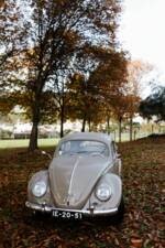 Immagine 4/56 di Volkswagen Maggiolino 1100 Standard "Ovali" (1954)
