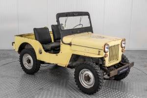 Bild 11/50 von Willys CJ-3B (1955)
