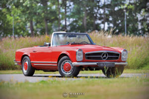 Image 4/70 of Mercedes-Benz 280 SL (1969)