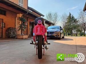 Bild 8/19 von MV Agusta DUMMY (1955)