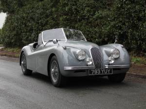 Bild 1/17 von Jaguar XK 120 OTS (1954)