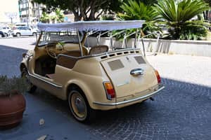 Bild 13/50 von FIAT Ghia 500 Jolly (1970)