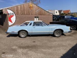Afbeelding 2/29 van Ford Thunderbird (1979)