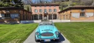 Immagine 37/48 di Austin-Healey 3000 Mk II (BT7) (1962)