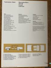Image 59/77 of Mercedes-Benz 250 SE (1966)